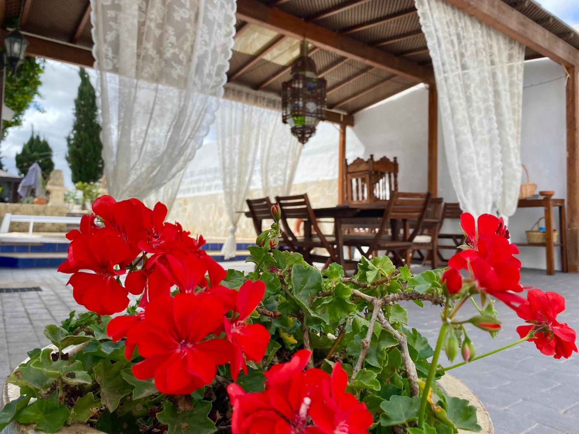 Authentic Canary Style Villa With Private Pool And Garden- Casa Juan Vera กรานาดิลญา เด อาโบนา ภายนอก รูปภาพ