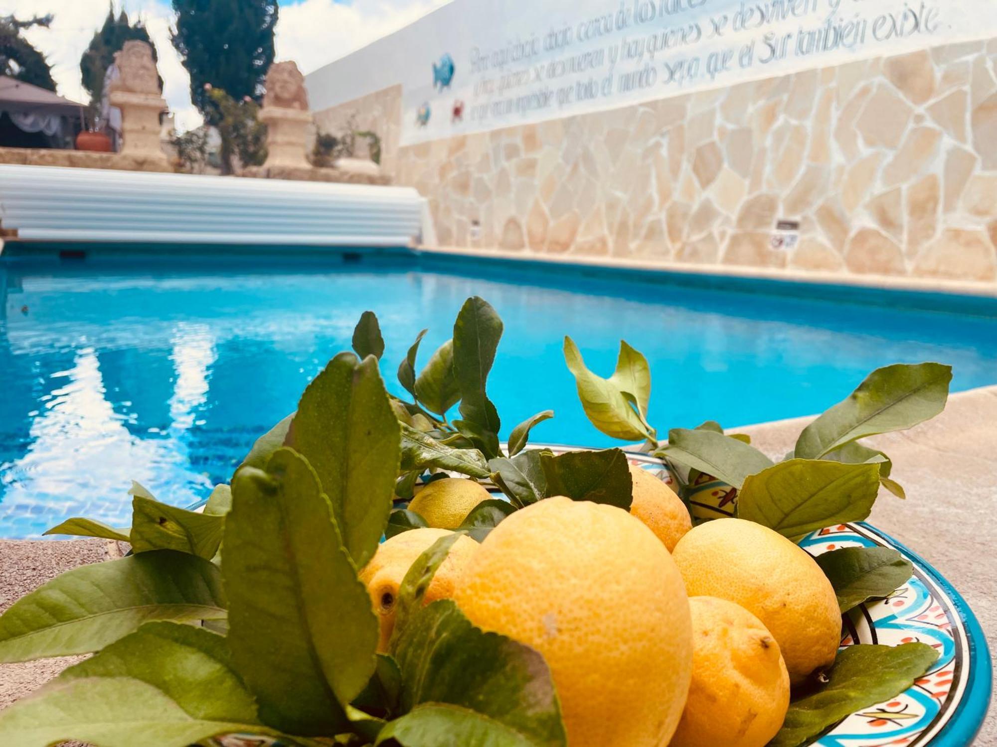 Authentic Canary Style Villa With Private Pool And Garden- Casa Juan Vera กรานาดิลญา เด อาโบนา ภายนอก รูปภาพ